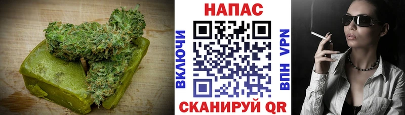 блэк спрут   Судак  Cannafood конопля 