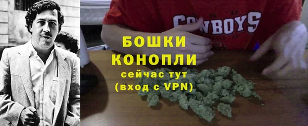 стаф Елизово