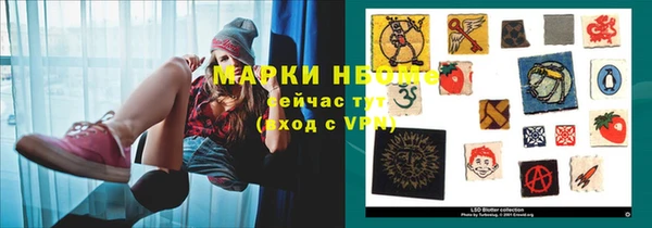 ПСИЛОЦИБИНОВЫЕ ГРИБЫ Ельня