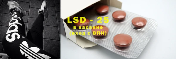 ПСИЛОЦИБИНОВЫЕ ГРИБЫ Ельня
