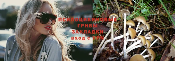 ПСИЛОЦИБИНОВЫЕ ГРИБЫ Ельня